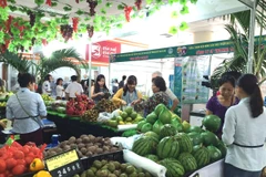Gian hàng bày bán hoa quả thu hút người mua. (Ảnh: Thanh Tâm/Vietnam+)
