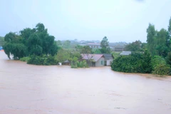 Thúc đẩy ứng dụng công nghệ viễn thám trong nông nghiệp