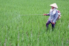 Doanh nghiệp lúng túng trước dự thảo quản lý thuốc bảo vệ thực vật