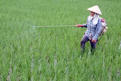 Doanh nghiệp lúng túng trước dự thảo quản lý thuốc bảo vệ thực vật