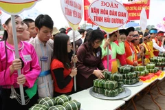 Ảnh minh họa. (Nguồn: Phương Hoa/TTXVN)