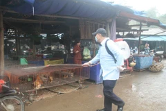 Lực lượng Thú y phun thuốc tiêu độc khử trùng tại chợ ở tỉnh Lạng Sơn. (Ảnh: Thắng Trung/TTXVN)