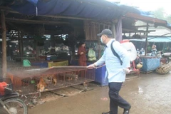 Phun thuốc khử trùng tiêu độc tại điểm bán gia cầm chợ Giếng Vuông (Lạng Sơn). (Ảnh: Thắng Trung/TTXVN)