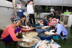 Nhân viên thú y kiểm tra, kiểm soát hoạt động giết mổ gia cầm tại Hải Dương. (Ảnh: Vũ Sinh/TTXVN)