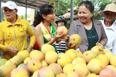 Người dân tham quan và mua sắm tại lễ hội trái cây. (Ảnh: Phương Vi/TTXVN)