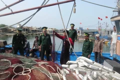 Ngư lưới cụ của tàu cá Qna 91939-TS bị cắt phá. (Ảnh: Đoàn Hữu Trung/TTXVN)