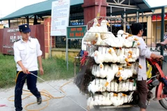 Triển khai tháng vệ sinh, tiêu độc khử trùng đợt 2 trên toàn quốc