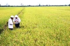 Kỷ niệm Ngày lương thực thế giới năm 2014 tại Việt Nam