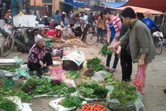 Người mua tranh nhau từng mớ rau vì nguồn cung không đủ cầu. (Ảnh: Thanh Tâm/Vietnam+)