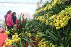 Chùm ảnh Hội chợ Xuân Đinh Dậu 2017 nhộn nhịp người mua sắm Tết