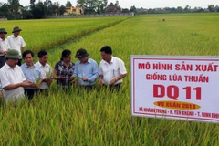 Hợp tác Việt-Nhật: Mang lại giá trị gia tăng cao cho người nông dân