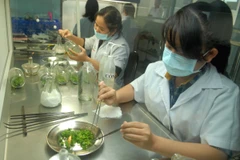 Ảnh minh họa. (Nguồn: Mạnh Linh/TTXVN)