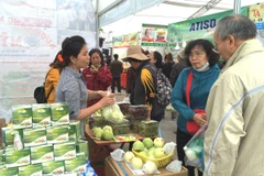 Người tiêu dùng lựa chọn các sản phẩm tại Hội chợ AgroViet 2016. (Ảnh: Thanh Tâm/Vietnam+)