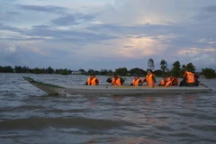 Tổ công tác của Đồn Biên phòng Cầu Muống và các lực lượng liên quan tuần tra phòng, chống buôn lậu trên cánh đồng ngập nước (xã Thường Thới Hậu A, huyện Hồng Ngự). (Ảnh: Nhựt An/TTXVN)