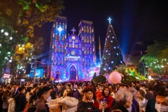 Tối 24/12, hàng nghìn người dân đổ ra đường, hướng về trung tâm thành phố Hà Nội vui đón Giáng sinh. (Ảnh: Minh Sơn/Vietnam+)