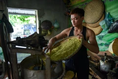 Cứ dịp cuối tháng 9 đầu tháng 10 hàng năm, những người làm cốm ở làng Mễ Trì (quận Nam Từ Liêm, Hà Nội) lại tất bật từ sáng sớm đến tận đêm khuya để kịp làm những mẻ cốm thơm dẻo cho khách. (Ảnh: PV/Vietnam+)