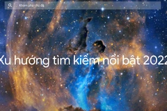 (Ảnh chụp màn hình)