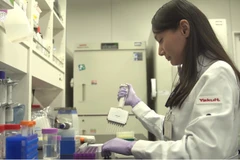 Chuyên gia nghiên cứu tại Viện nghiên cứu Yakult, Tokyo, Nhật Bản