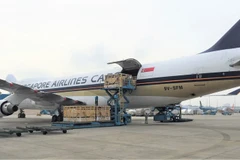 Chuyên cơ chở hơn 200 cô bò hữu cơ từ Úc về Việt Nam.