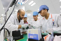 ( Ảnh: CTV/Vietnam+)