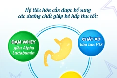 Các dưỡng chất giúp bé hấp thu tốt