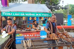 Những món ăn đặc trưng của đồng bào bản địa tại “Tuần lễ văn hóa ẩm thực” ở Gia Lai. (Ảnh: Hoài Nam/TTXVN)