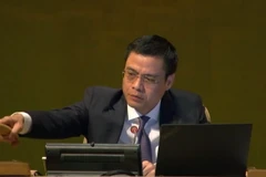 Đại sứ, Trưởng Phái đoàn Việt Nam Đặng Hoàng Giang chủ trì phiên họp. (Ảnh: TTXVN phát)