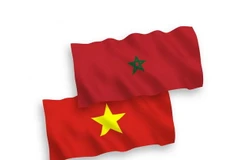 Cờ Maroc và Việt Nam. (Nguồn: vectorstock.com)