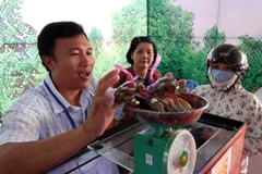 Cua Cà Mau tiêu thụ mạnh tại hội chợ. (Ảnh: Kim Há/TXVN)