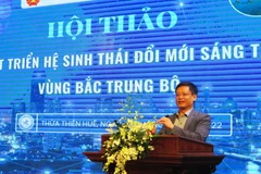 Phó Chủ tịch Thường trực UBND tỉnh Thừa Thiên-Huế Nguyễn Thanh Bình phát biểu tại hội thảo. (Ảnh: Tường Vi/TTXVN)