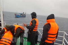 (Ảnh minh họa: TTXVN phát)