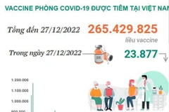 [Infographics] Tình hình tiêm vaccine phòng COVID-19 tại Việt Nam