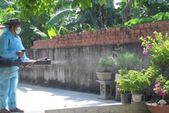 Phun hóa chất xử lý ổ dịch sốt xuất huyết tại huyện Tuy An, tỉnh Phú Yên. (Ảnh: Xuân Triệu/TTXVN)