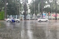 (Ảnh minh họa: Thanh Liêm/TTXVN)