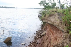 Một đoạn kè bờ sông Thạch Hãn bị sạt lở nghiêm trọng. (Ảnh: Nguyên Lý/TTXVN)