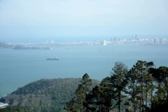 Theo Ban giám khảo, phim "Tro tàn rực rỡ" được trao giải vì vẻ đẹp thơ mộng trong thế giới vừa lung linh vừa mê hoặc mà phim mô tả. (Nguồn: Facebook) 