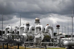 Ảnh minh họa (Nguồn: AFP/TTXVN)