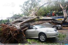 Bão Rammasun đã khiến 11 người tử vong ở Philippines