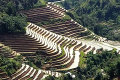 [Photo] Vẻ đẹp của ruộng bậc thang Hoàng Su Phì mùa đổ nước