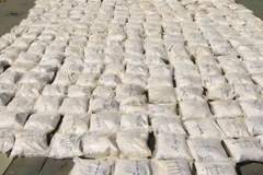 Brazil đẩy mạnh chiến dịch truy quét tội phạm ma túy