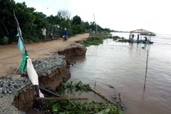 Đồng Tháp: Sạt lở bờ sông vẫn diễn biến phức tạp