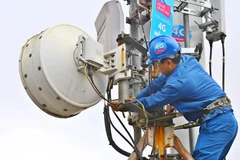 Ảnh chỉ có tính minh họa. (Nguồn: VNP)