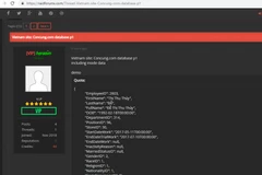 Hình ảnh chụp màn hình hacker đăng tải trên diễn đàn. (Ảnh: Vietnam+)