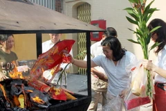 (Ảnh minh họa: Đỗ Ngọc Giang/TTXVN)