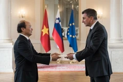 Quang cảnh buổi lễ. (Ảnh: Lê Dũng/Vietnam+)