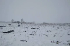 Các mảnh vỡ của chiếc máy bay An-148 được tìm thấy tại khu vực Ramenskoye sau vụ tai nạn. (Nguồn: The Telegraph News/TTXVN)