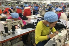 (Ảnh minh họa: Quốc Việt/TTXVN)