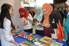 Bạn bè quốc tế và Ai Cập tìm kiểm các tài liệu văn hóa Việt Nam. (Ảnh: Nguyễn Trường/Vietnam+)