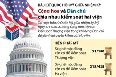Bầu cử giữa kỳ Mỹ: Cộng hòa và Dân chủ chia nhau kiểm soát hai viện