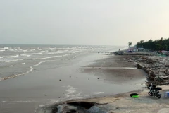 Khu du lịch sinh thái Cồn Vành đang được chỉnh trang, nâng cấp để thu hút khách du lịch. (Ảnh: Thế Duyệt/TTXVN)